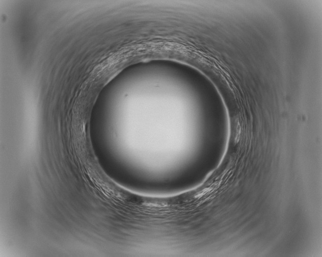 X0000087691489200705041024