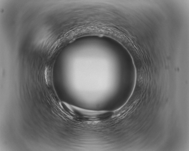 X0000087691490200705041024