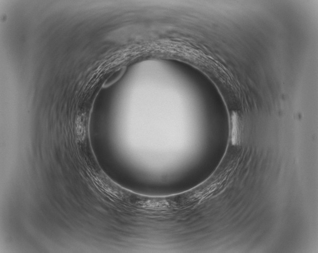 X0000087691491200705041024