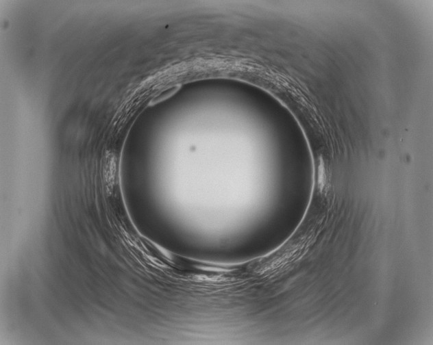 X0000087691492200705041024