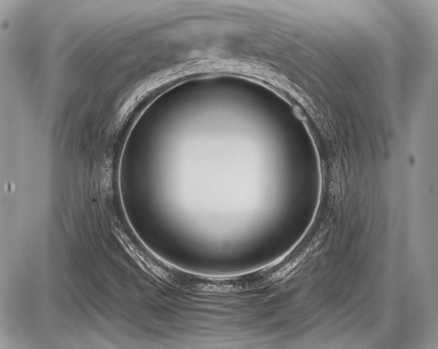 X0000087691499200705041024