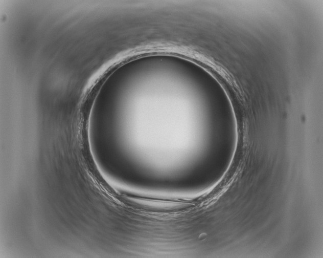 X0000087691502200705041024