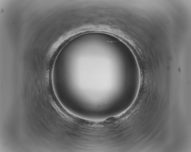 X0000087691503200705041024