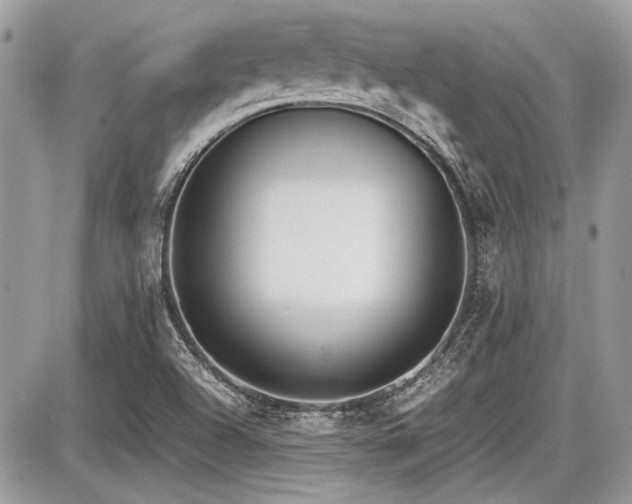 X0000087691504200705041025