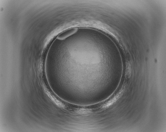 X0000087691506200705041025