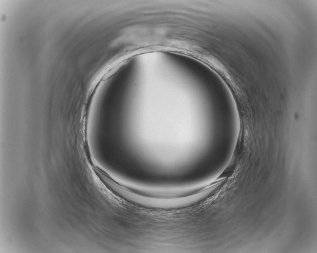 X0000087691524200705041025