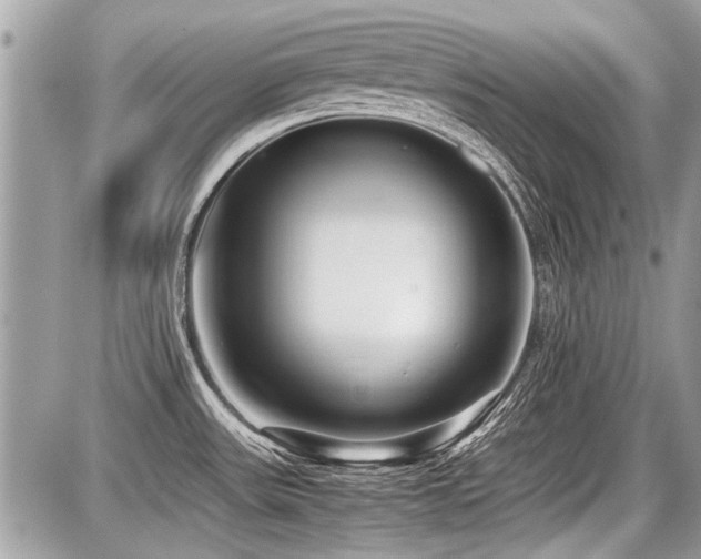X0000087691531200705041025