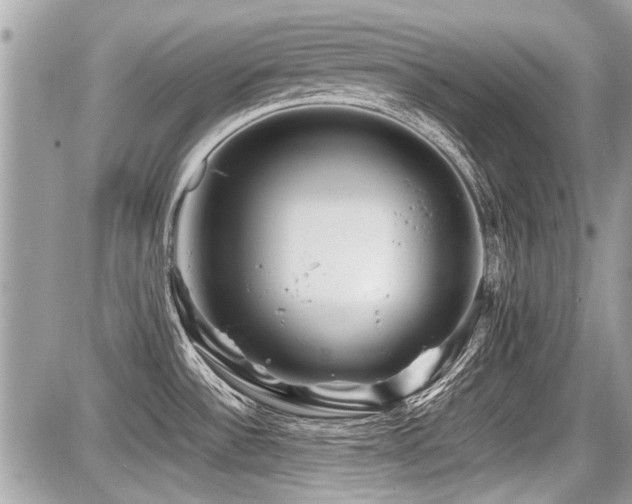 X0000087691532200705041025