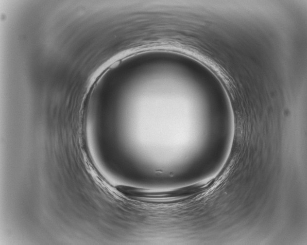 X0000087691534200705041025