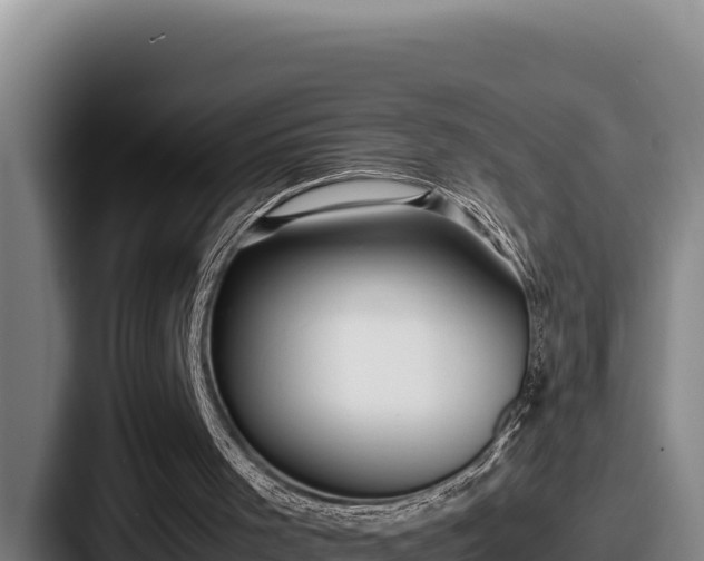 X0000087690001200705111330