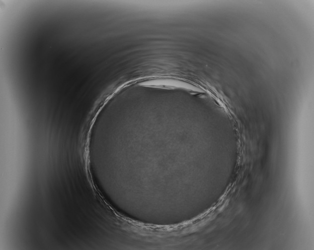 X0000087690002200705111330