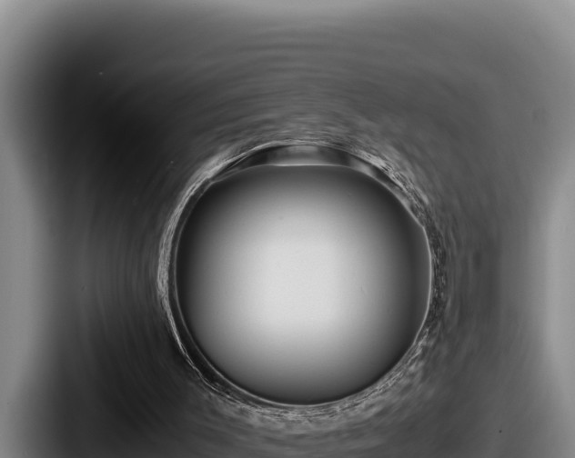 X0000087690003200705111330