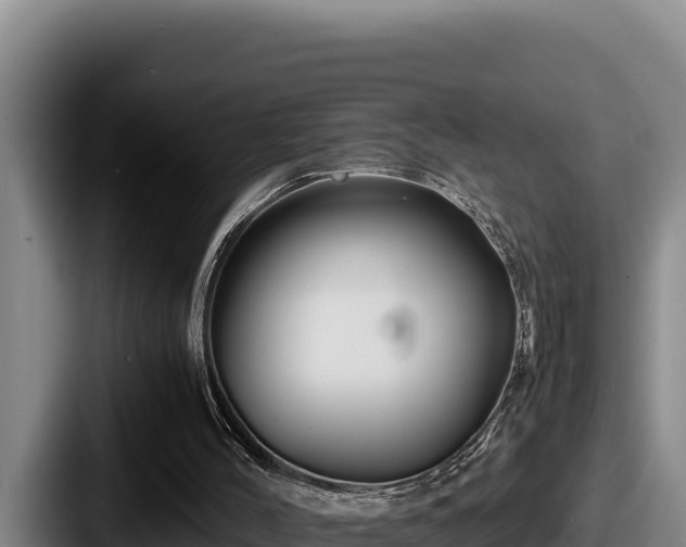 X0000087690004200705111330