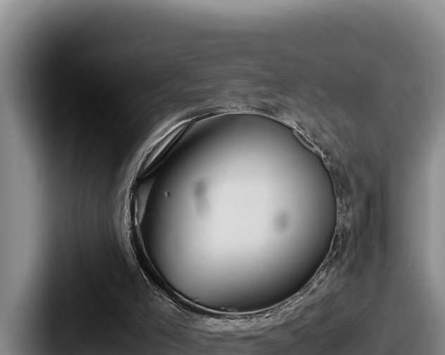 X0000087690005200705111330