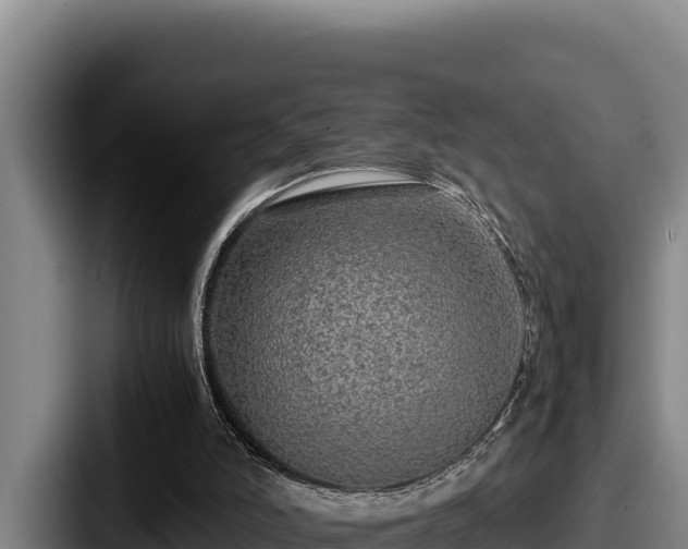 X0000087690006200705111330