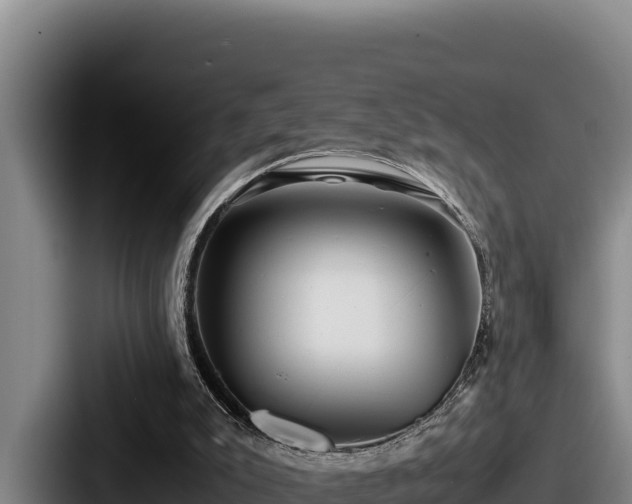 X0000087690007200705111330