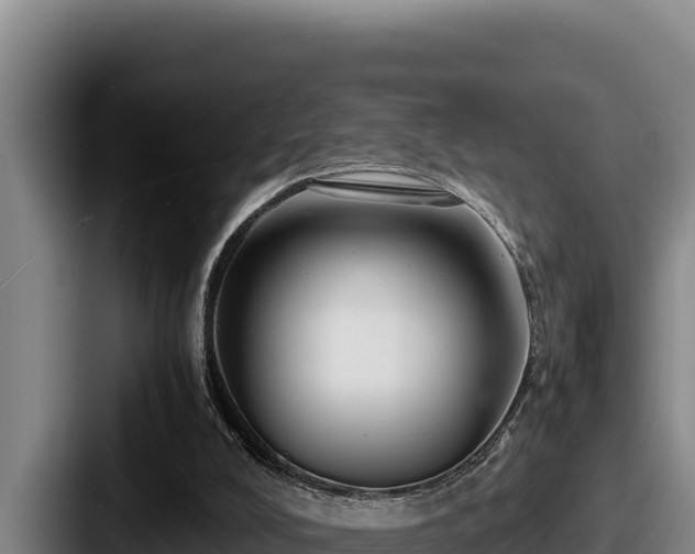 X0000087690008200705111330