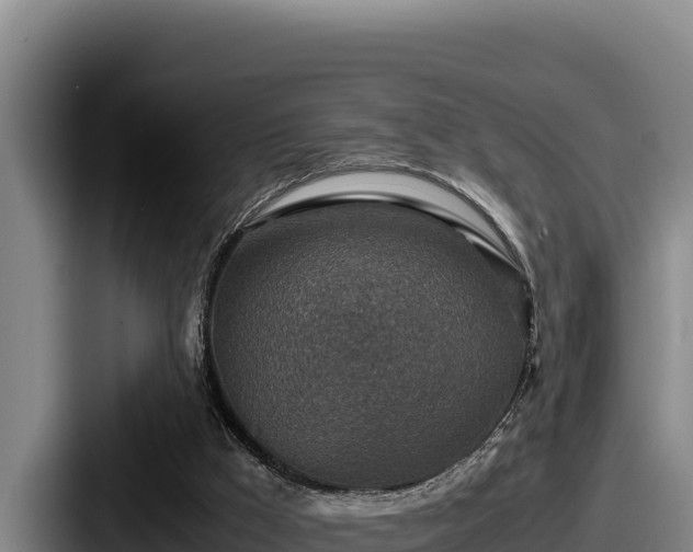 X0000087690009200705111330