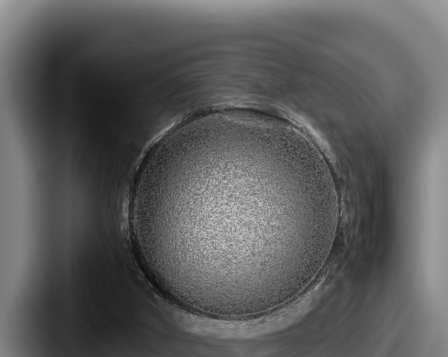 X0000087690010200705111330