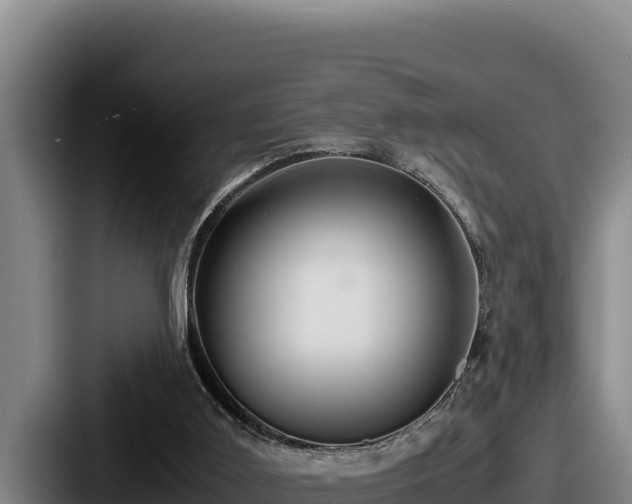 X0000087690011200705111330