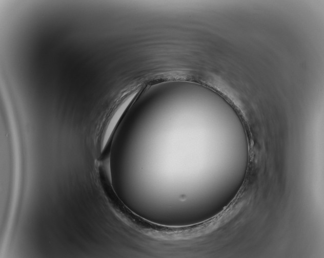 X0000087690013200705111330