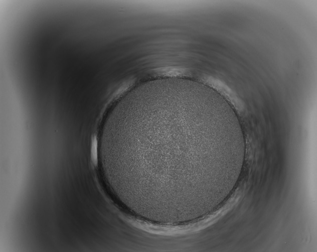 X0000087690014200705111330