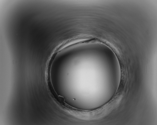 X0000087690015200705111330