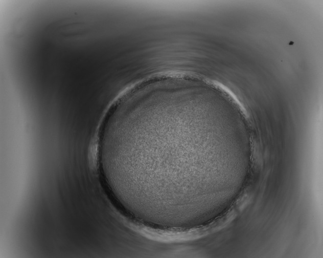 X0000087690016200705111330