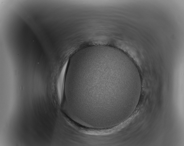 X0000087690017200705111330