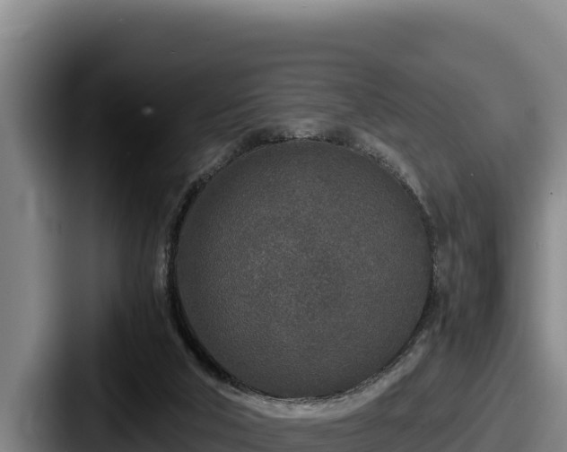 X0000087690018200705111330