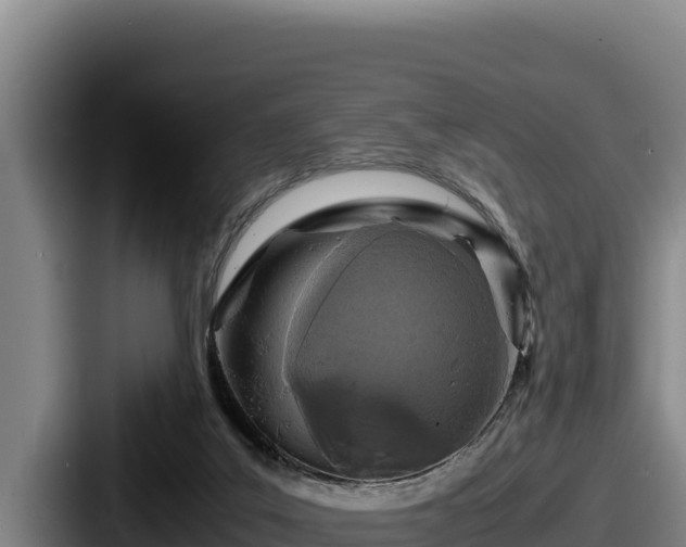 X0000087690019200705111330