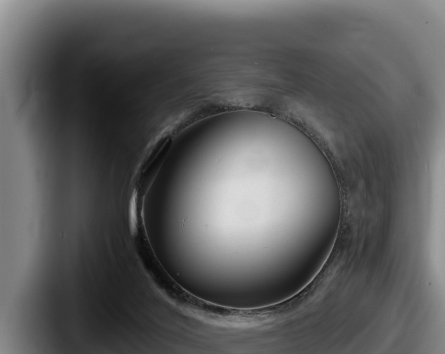 X0000087690020200705111330