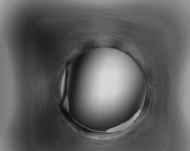 X0000087690021200705111329