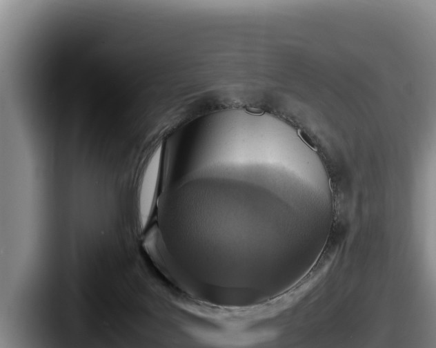 X0000087690027200705111329