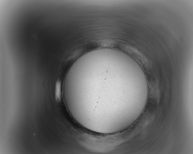 X0000087690028200705111329