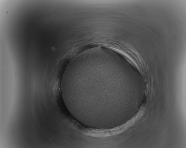 X0000087690029200705111329