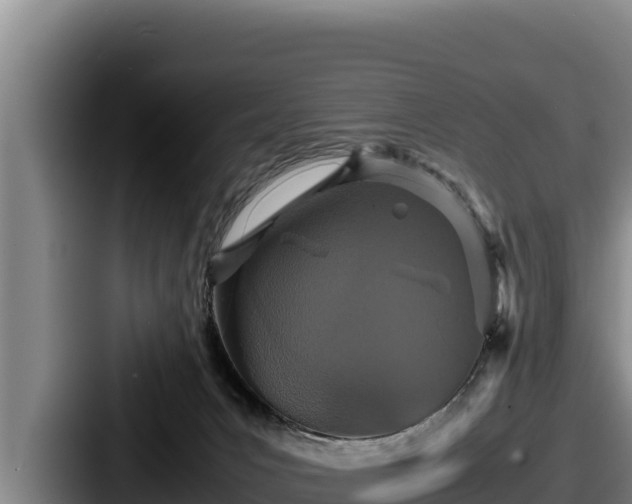 X0000087690031200705111329