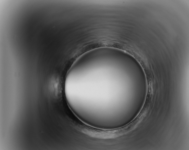 X0000087690032200705111329