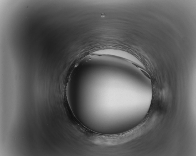X0000087690033200705111329