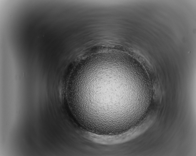 X0000087690034200705111329