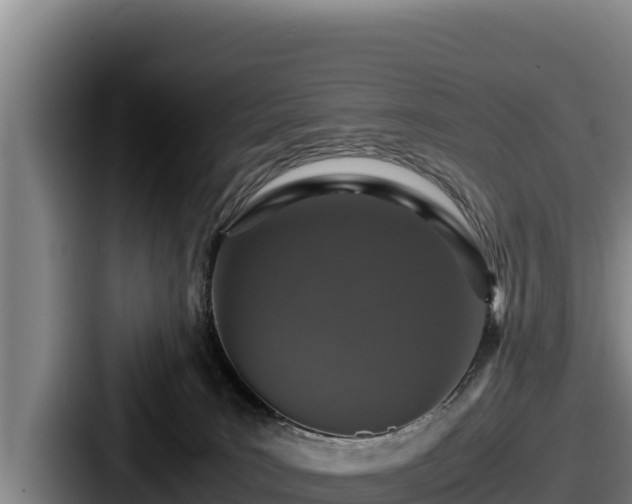 X0000087690035200705111329