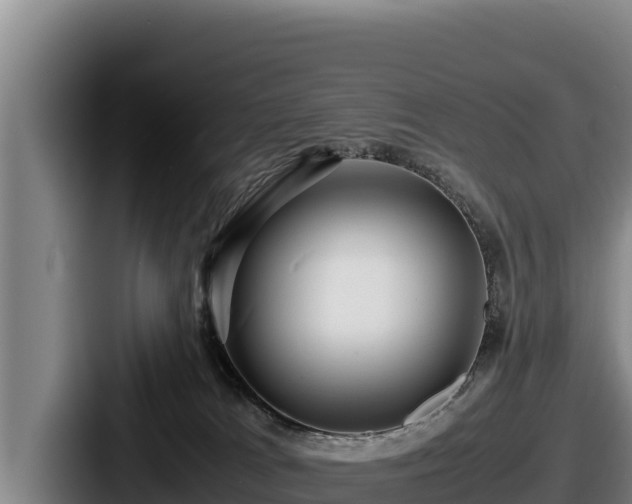 X0000087690037200705111329