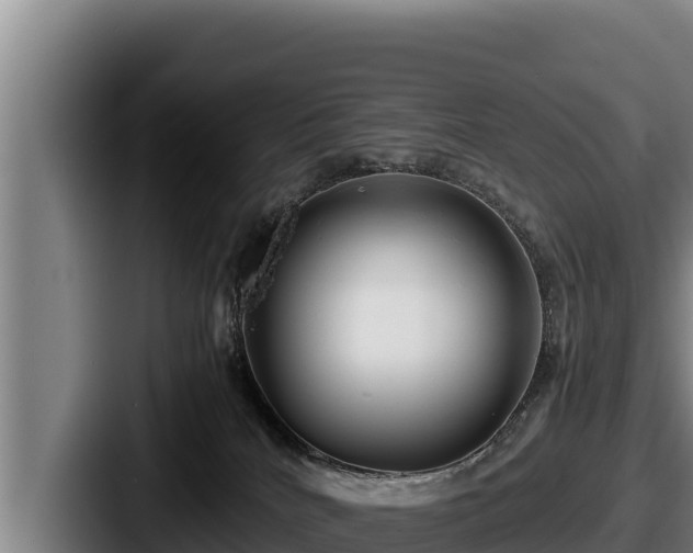 X0000087690040200705111329