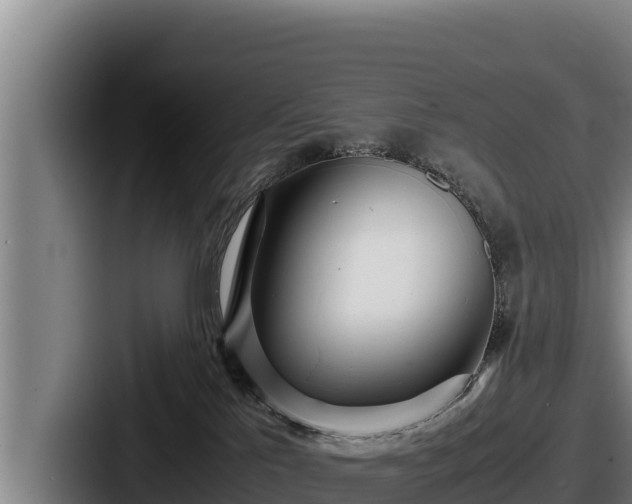 X0000087690041200705111329