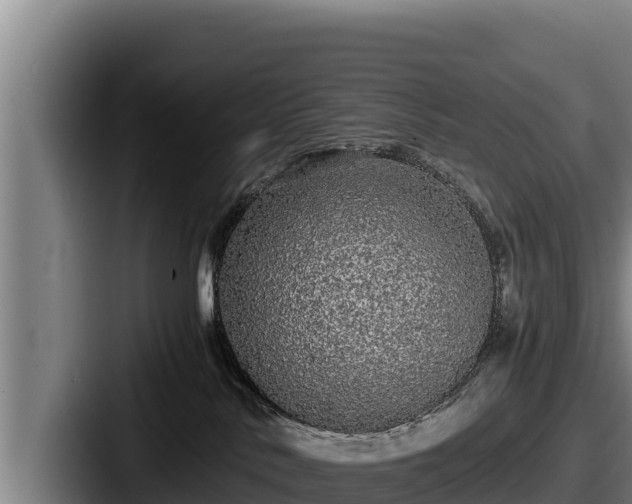 X0000087690042200705111329