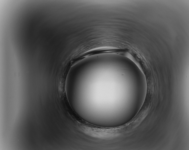 X0000087690044200705111329