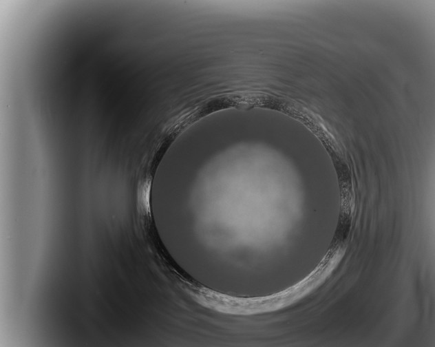 X0000087690047200705111329