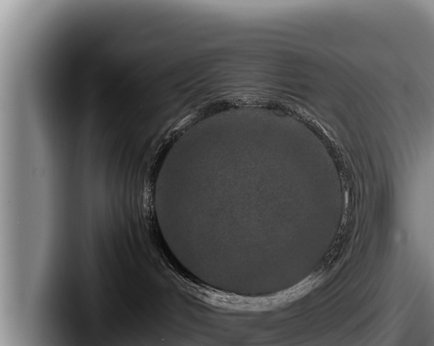 X0000087690048200705111329