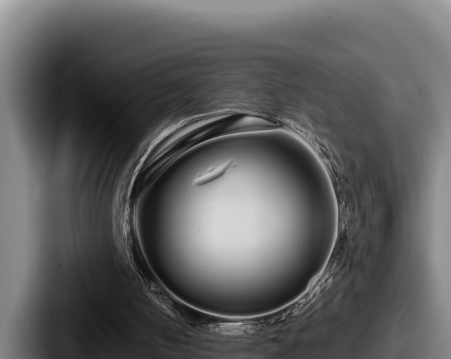 X0000087690050200705111329