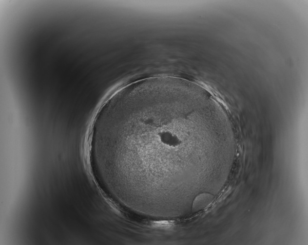 X0000087690053200705111329